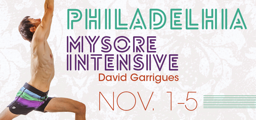 November Philadelphia Mysore Intensive