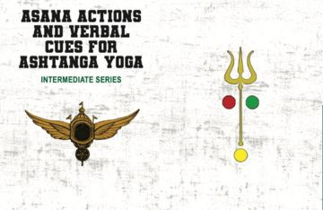 Asana actions and verbal cues for every posture in the Intermediate Series.