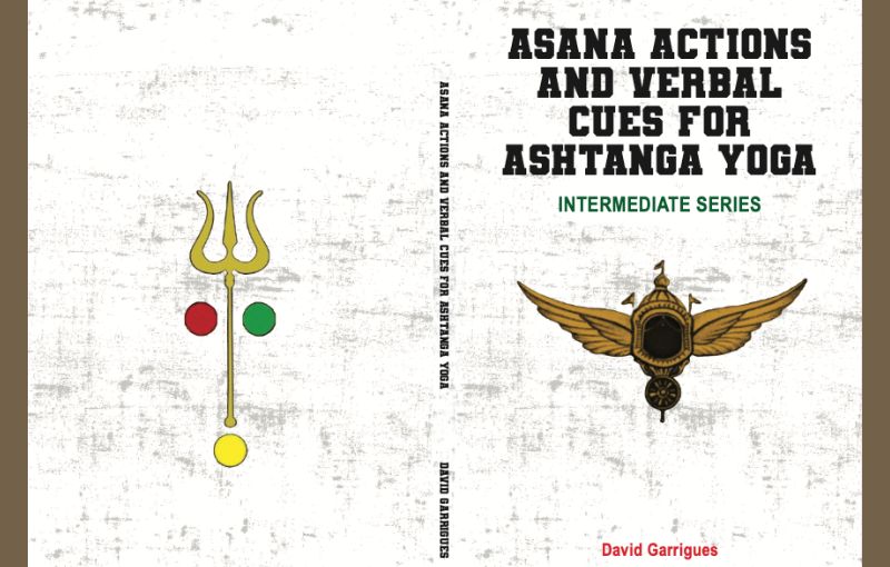 New Book! Second Series Verbal Cues and Asana Actions