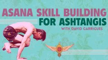 Asana Skill Building for Ashtangis